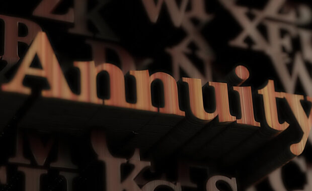 annuity wooden 3D rendered letter