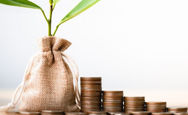 coins in sack and small plant tree