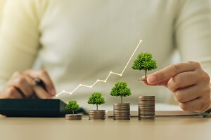 accountant woman holding a coin with a tree that grows and a tree that grows on a pile of money