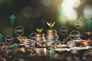 seedlings are growing on the coins placed on the ground