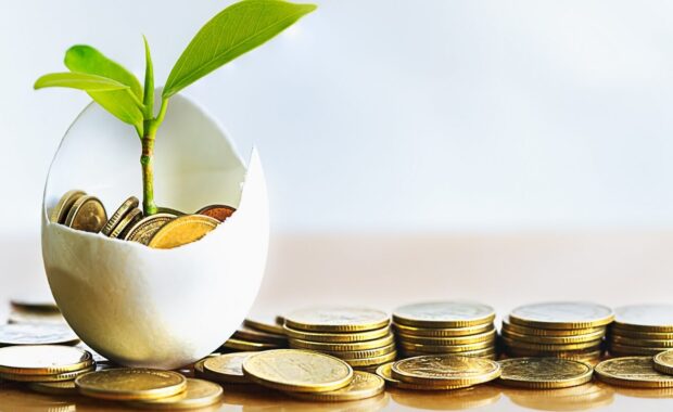 hatched egg and coins with small plant tree