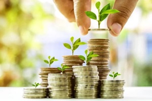 growing plant on stack coin money for finance and banking growth concept